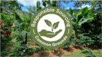 sustainabilty responsiblesourcing
